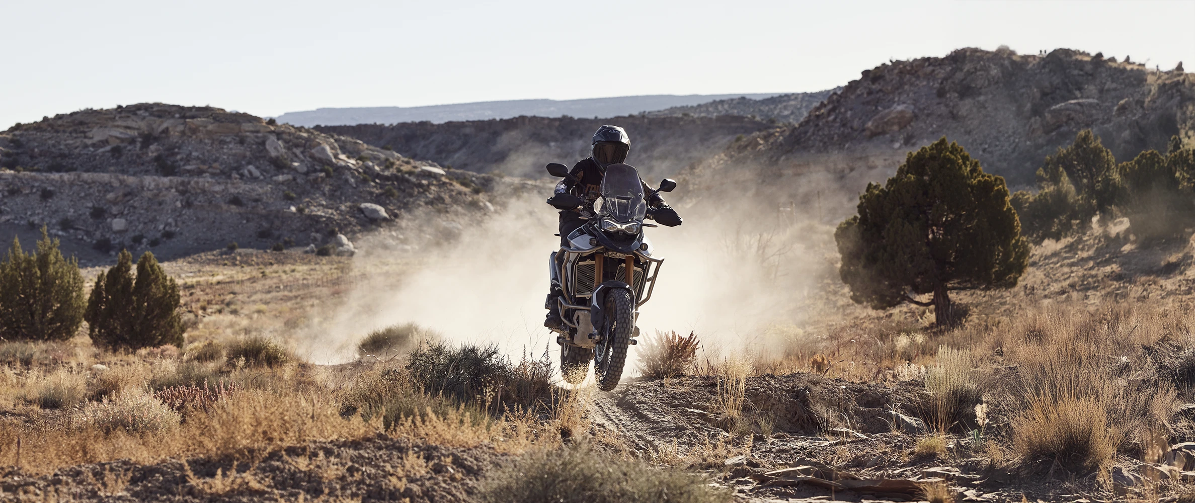 Triumph Tiger 900 Rally Pro